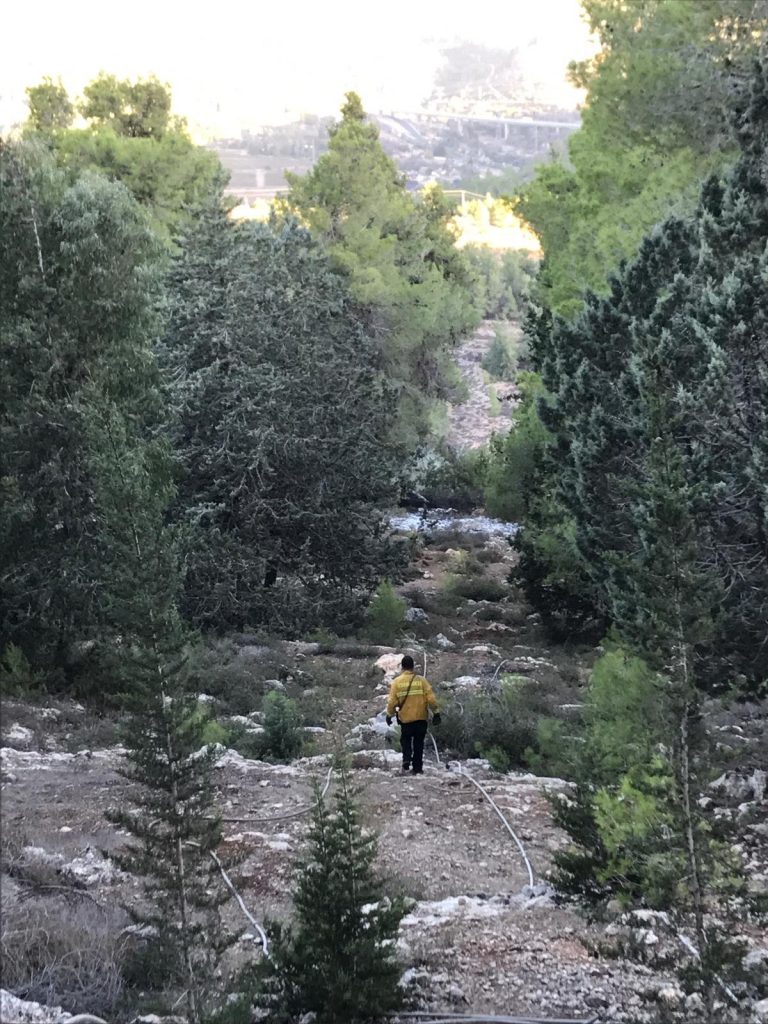 הלילה, שריפה פרצה ביער ירושלים: מטוסי כיבוי הוזנקו לאוויר ...