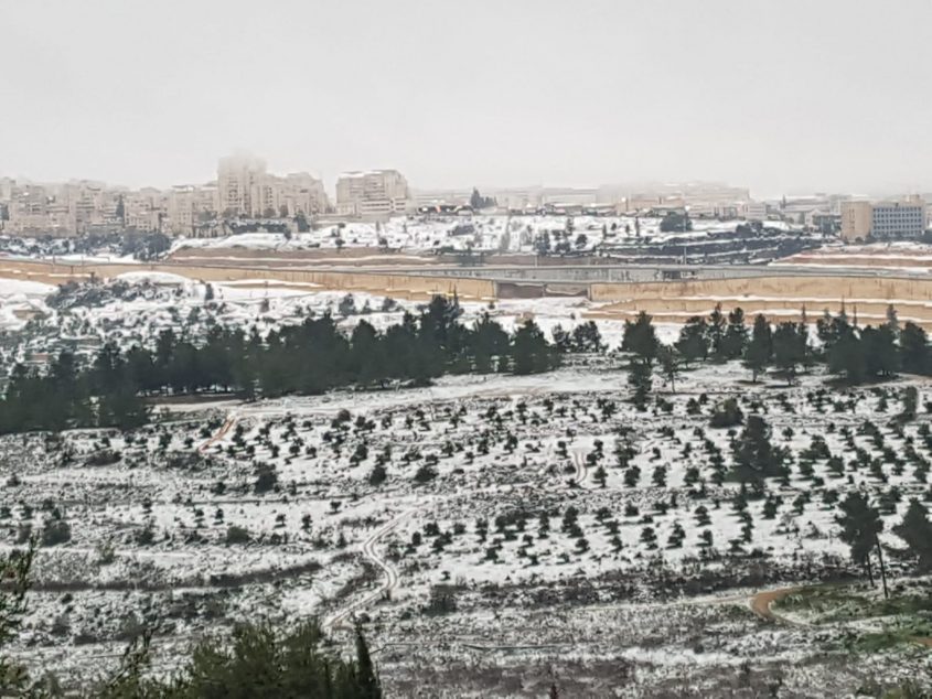 שלג על עירי: ירושלים נצבעה בלבן - התמונות המפעימות | כל ...