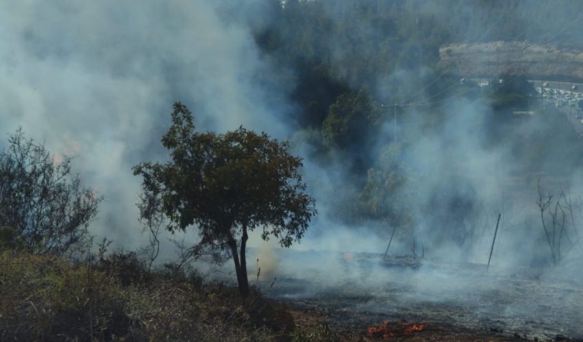 השריפה בסמוך לשער הגיא (צילום: אסף אברס - תיעוד מבצעי כב"ה ירושלים)